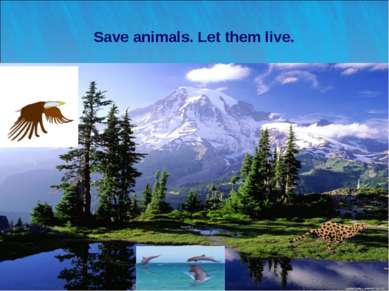 * Save animals. Let them live. Лето