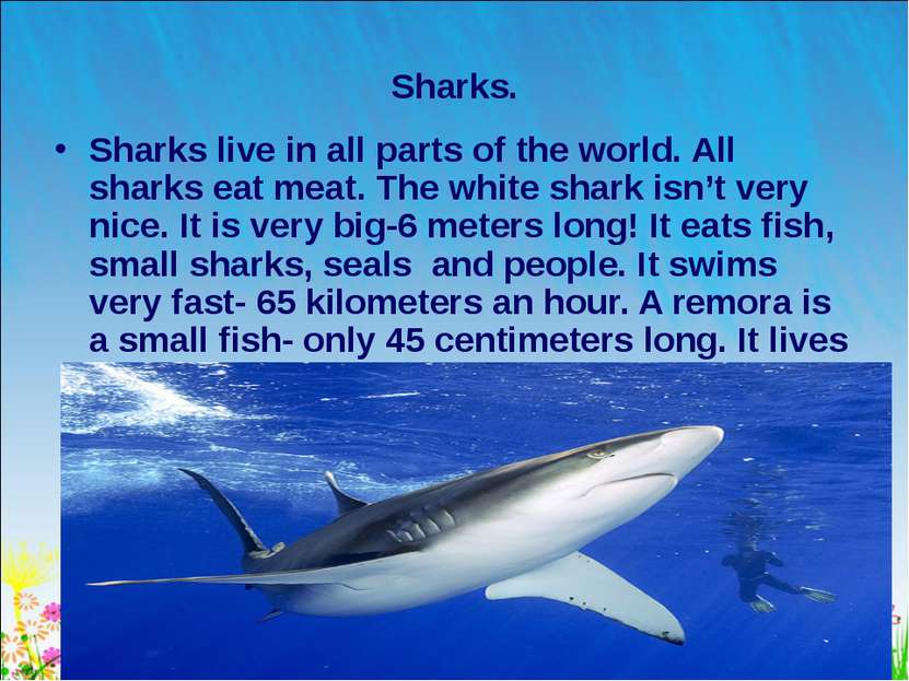 * Sharks. Sharks live in all parts of the world. All sharks eat meat. The whi...
