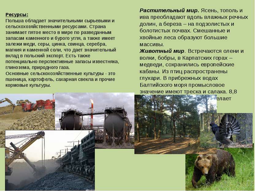 Ресурсы: Польша обладает значительными сырьевыми и сельскохозяйственными ресу...