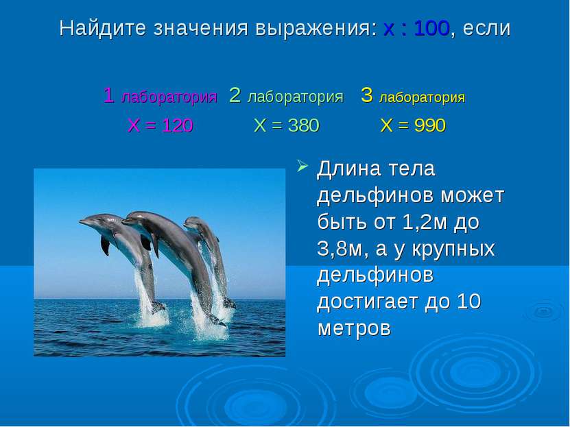 Найдите значения выражения: х : 100, если Длина тела дельфинов может быть от ...