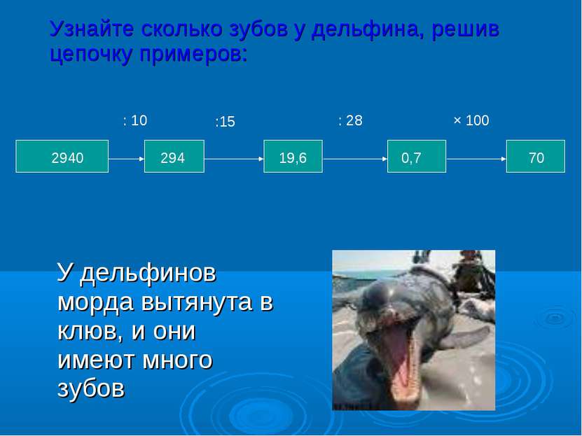 У дельфинов морда вытянута в клюв, и они имеют много зубов : 10 : 28 × 100 70...