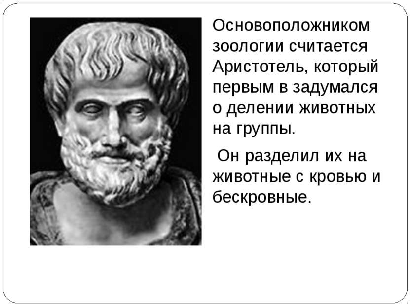 Основоположником зоологии считается Аристотель, который первым в задумался о ...