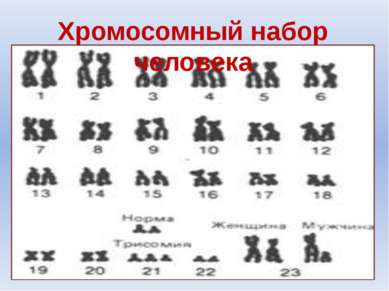 Хромосомный набор человека