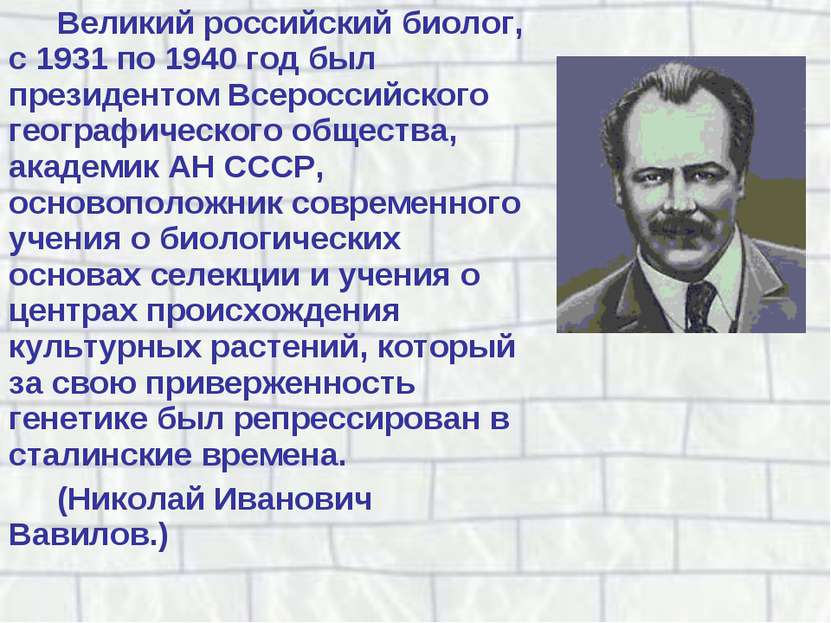 Великий российский биолог, с 1931 по 1940 год был президентом Всероссийского ...