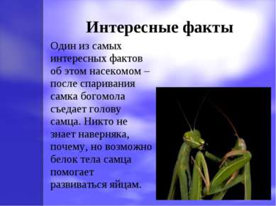Интересные факты Один из самых интересных фактов об этом насекомом – после сп...