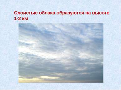 Слоистые облака образуются на высоте 1-2 км