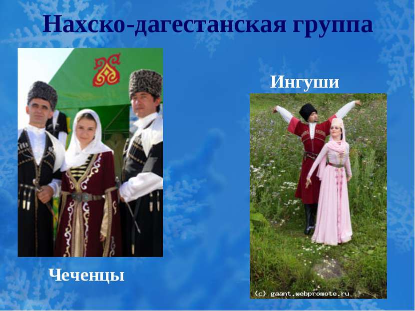 Нахско-дагестанская группа Чеченцы Ингуши