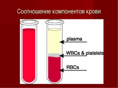 Соотношение компонентов крови