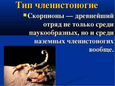Тип членистоногие Скорпионы — древнейший отряд не только среди паукообразных,...