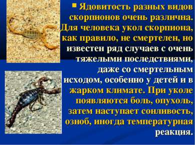 Ядовитость разных видов скорпионов очень различна. Для человека укол скорпион...
