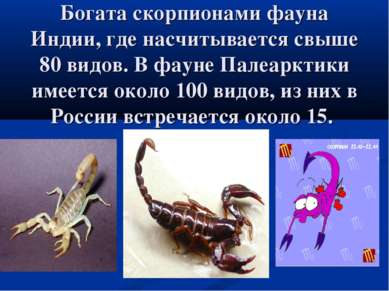 Богата скорпионами фауна Индии, где насчитывается свыше 80 видов. В фауне Пал...