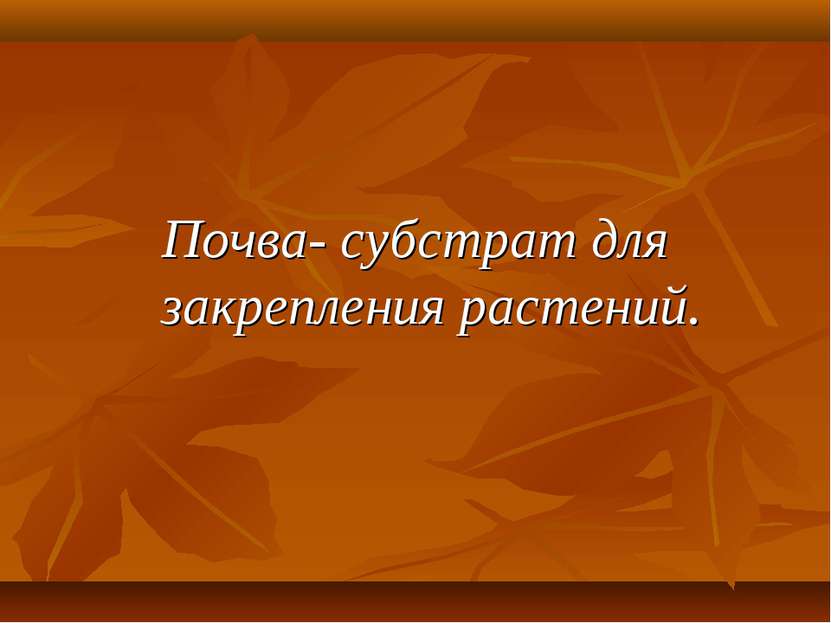 Почва- субстрат для закрепления растений.