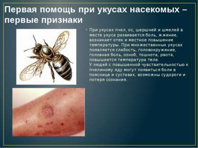 При укусах пчел, ос, шершней и шмелей в месте укуса развивается боль, жжение,...