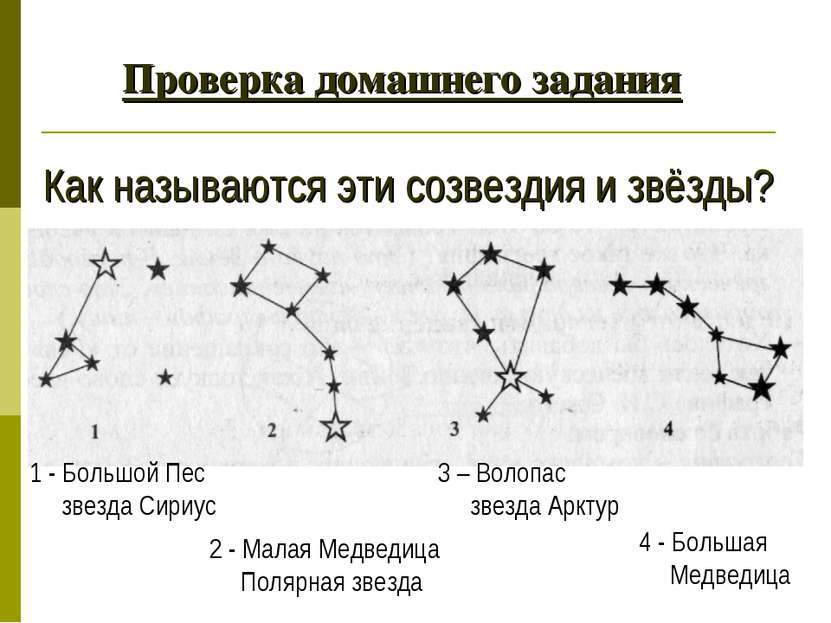 Проверка домашнего задания Как называются эти созвездия и звёзды? 2 - Малая М...