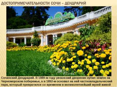 Сочинский Дендрарий. В 1889-м году рязанский дворянин купил землю на Черномор...