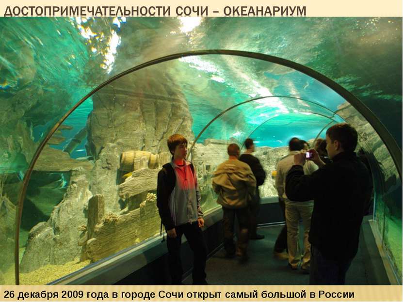 26 декабря 2009 года в городе Сочи открыт самый большой в России океанариум