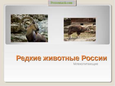 Редкие животные России Млекопитающие 