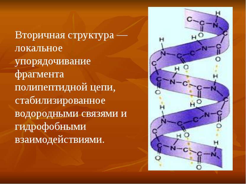 Вторичная структура — локальное упорядочивание фрагмента полипептидной цепи, ...