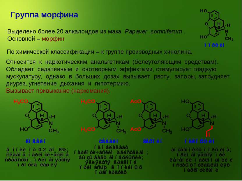 Группа морфина Выделено более 20 алкалоидов из мака Papaver somniferum . Осно...