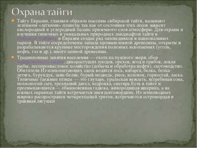 Тайгу Евразии, главным образом массивы сибирской тайги, называют зелёными «лё...