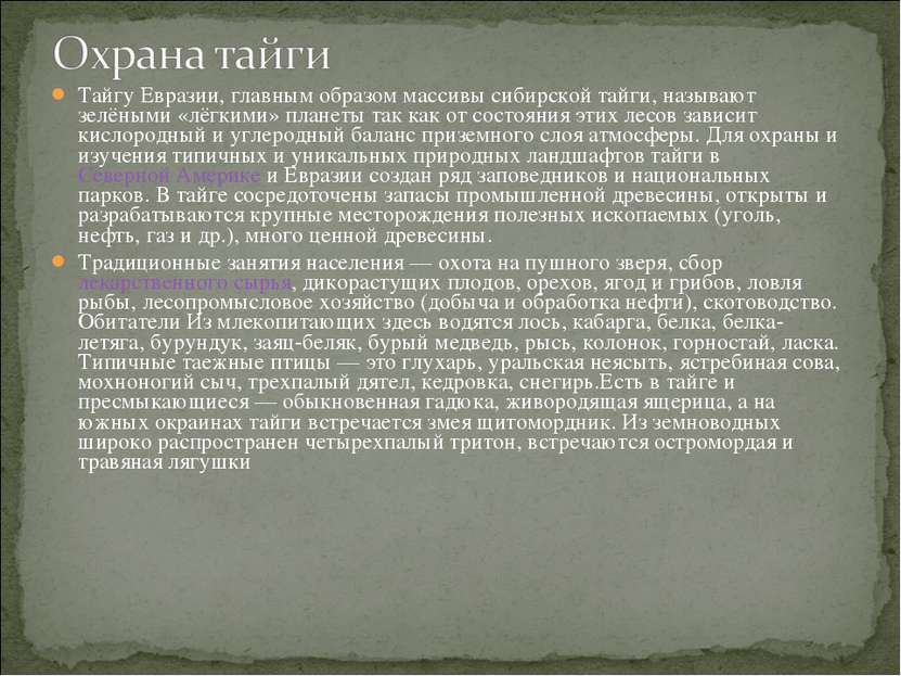Тайгу Евразии, главным образом массивы сибирской тайги, называют зелёными «лё...