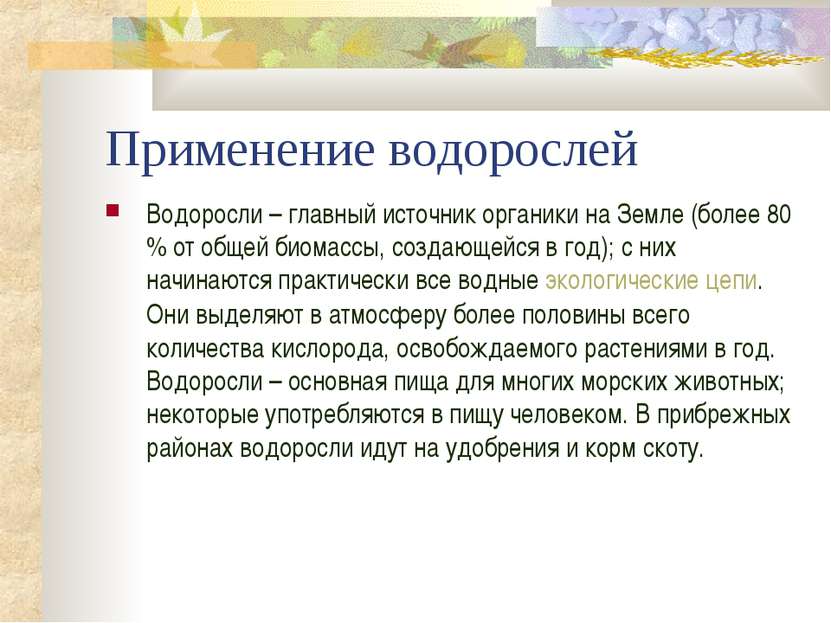 Применение водорослей Водоросли – главный источник органики на Земле (более 8...