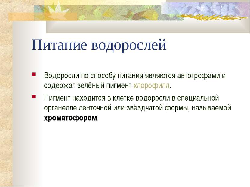 Питание водорослей Водоросли по способу питания являются автотрофами и содерж...