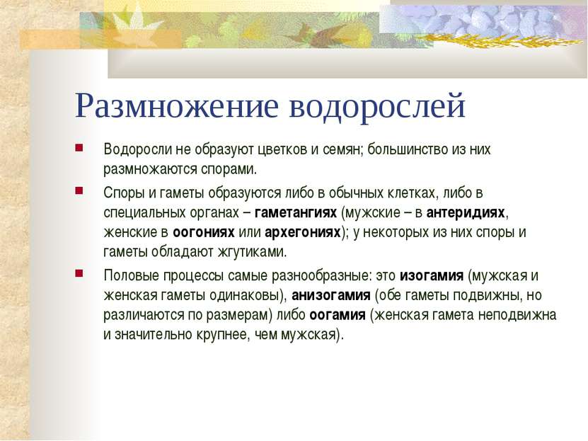 Размножение водорослей Водоросли не образуют цветков и семян; большинство из ...