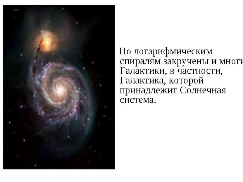 По логарифмическим спиралям закручены и многие Галактики, в частности, Галакт...