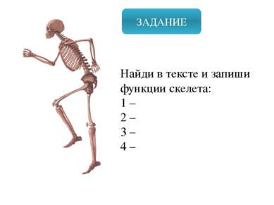 ЗАДАНИЕ Найди в тексте и запиши функции скелета: 1 – 2 – 3 – 4 – Значение: Оп...
