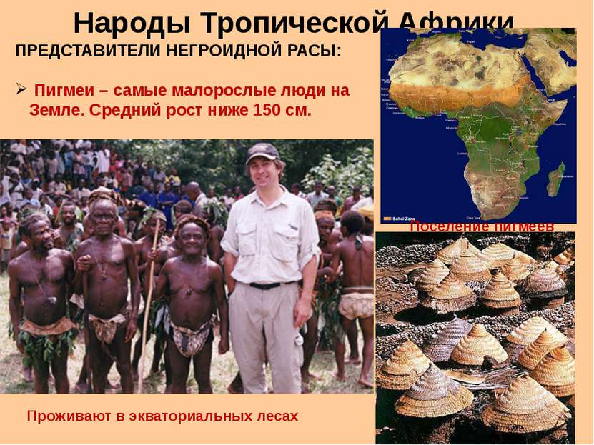 Народы Тропической Африки ПРЕДСТАВИТЕЛИ НЕГРОИДНОЙ РАСЫ: Пигмеи – самые малор...