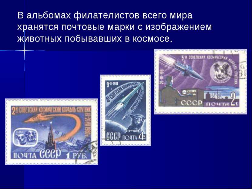 В альбомах филателистов всего мира хранятся почтовые марки с изображением жив...