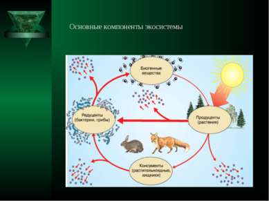 Основные компоненты экосистемы