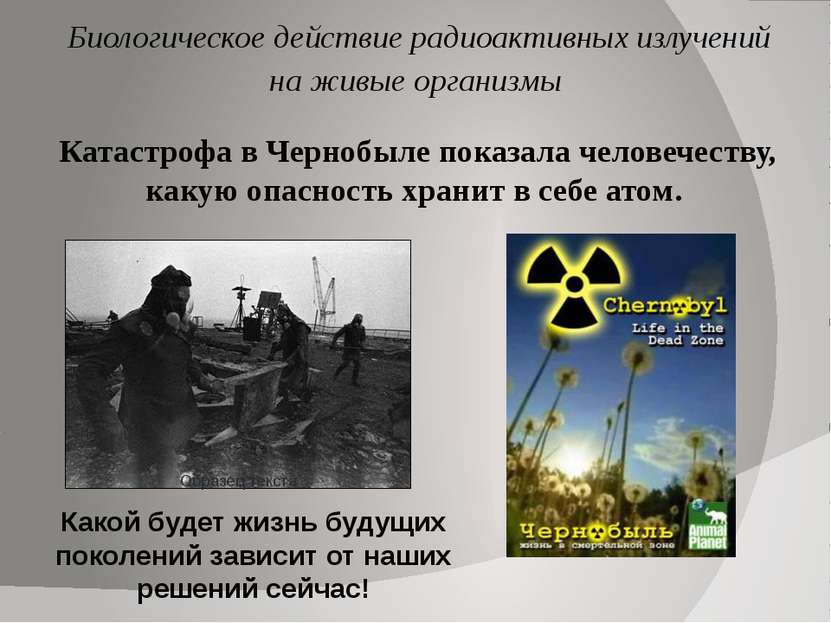 Биологическое действие радиоактивных излучений на живые организмы Разрушения ...
