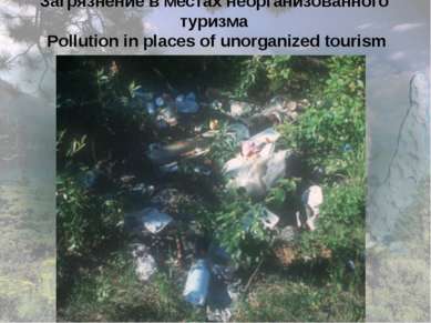 Загрязнение в местах неорганизованного туризма Pollution in places of unorgan...