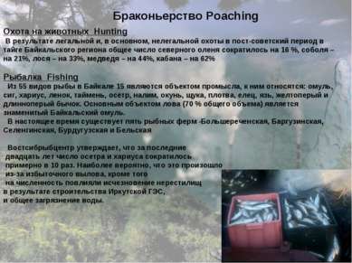 Браконьерство Poaching Охота на животных Hunting В результате легальной и, в ...