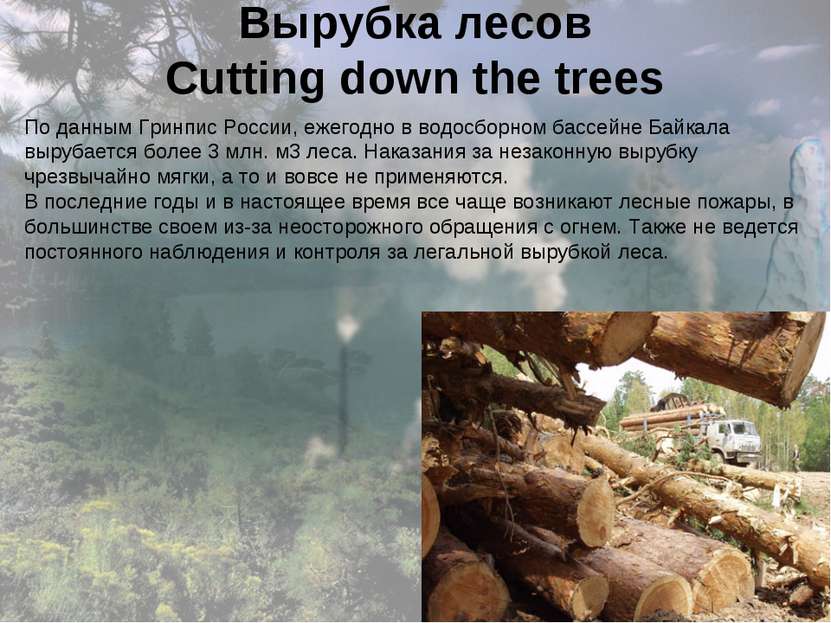 Вырубка лесов Cutting down the trees По данным Гринпис России, ежегодно в вод...