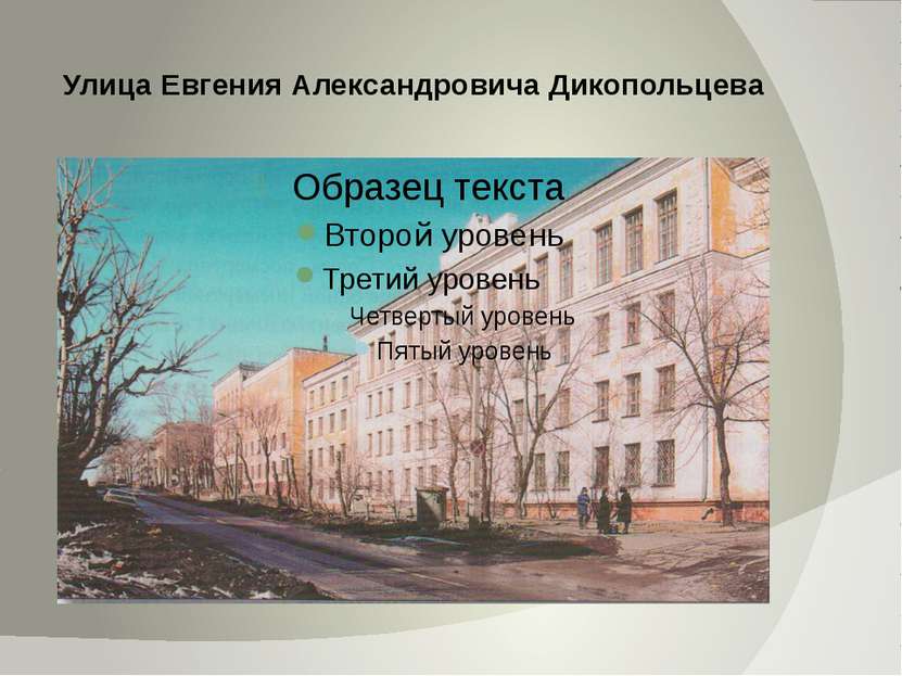 Улица Евгения Александровича Дикопольцева