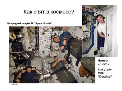 Как спят в космосе? На средней палубе ТК “Space Shuttle” Номер «Люкс» в модул...