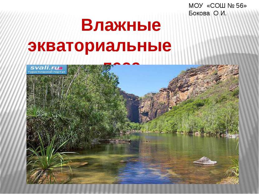 Влажные экваториальные леса МОУ «СОШ № 56» Бокова О И.