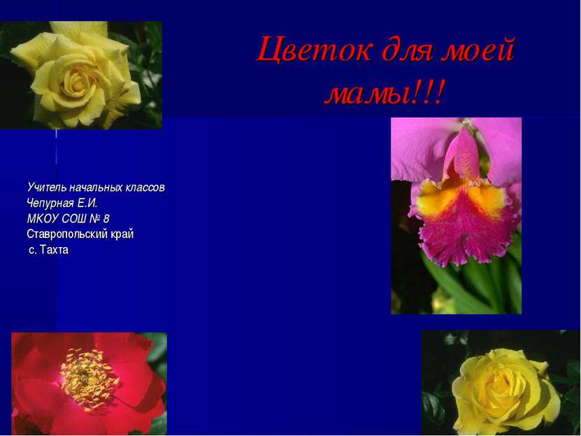 Цветок для моей мамы!!! Учитель начальных классов Чепурная Е.И. МКОУ СОШ № 8 ...