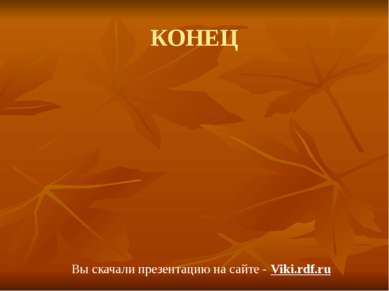 КОНЕЦ Вы скачали презентацию на сайте - Viki.rdf.ru