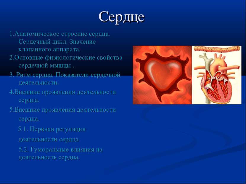 Сердце 1.Анатомическое строение сердца. Сердечный цикл. Значение клапанного а...