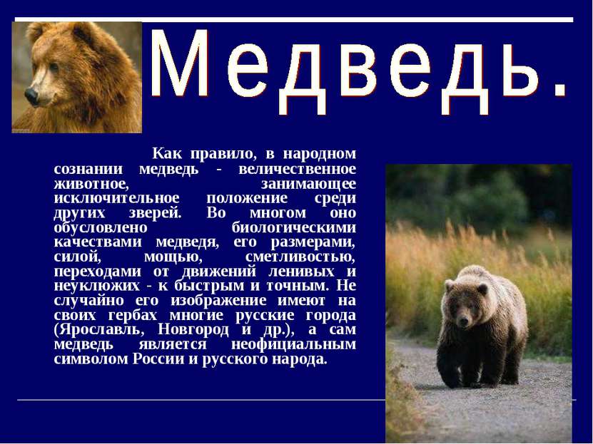 Как правило, в народном сознании медведь - величественное животное, занимающе...