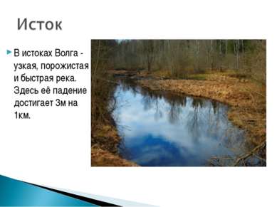 В истоках Волга - узкая, порожистая и быстрая река. Здесь её падение достигае...