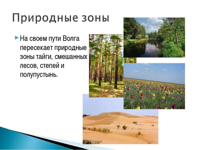 На своем пути Волга пересекает природные зоны тайги, смешанных лесов, степей ...