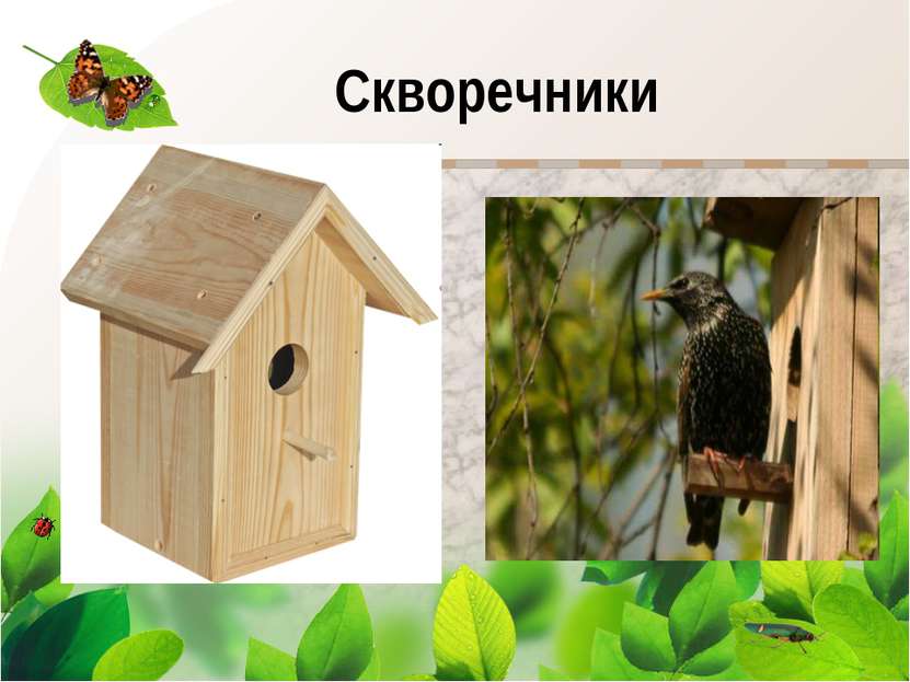 Скворечники