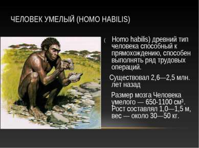 ЧЕЛОВЕК УМЕЛЫЙ (HOMO HABILIS) ( Homo habilis) древний тип человека способный ...