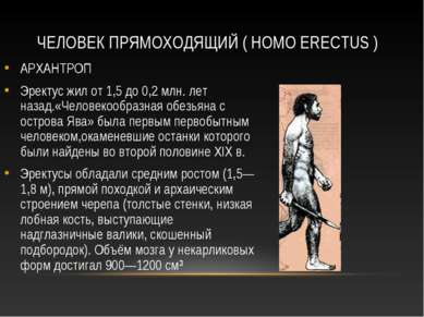 ЧЕЛОВЕК ПРЯМОХОДЯЩИЙ ( HOMO ERECTUS ) АРХАНТРОП Эректус жил от 1,5 до 0,2 млн...
