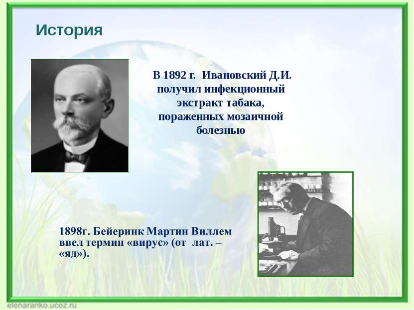 История В 1892 г. Ивановский Д.И. получил инфекционный экстракт табака, пораж...